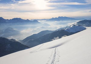 菜鸟新手快速Composer 使用教程