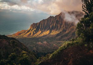 菜鸟新手快速Composer 使用教程